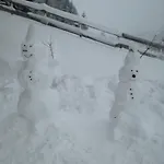 Alpengluck *