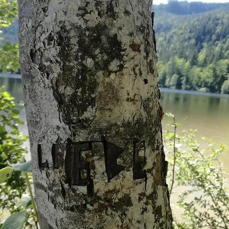 Alpengluck