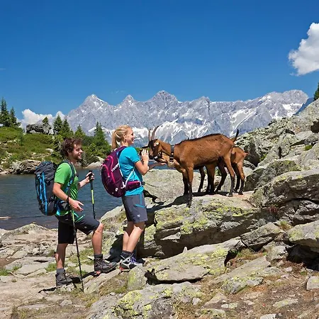Alpenglueck * آيش