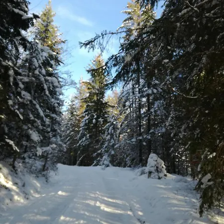 Apartman Alpenglueck *