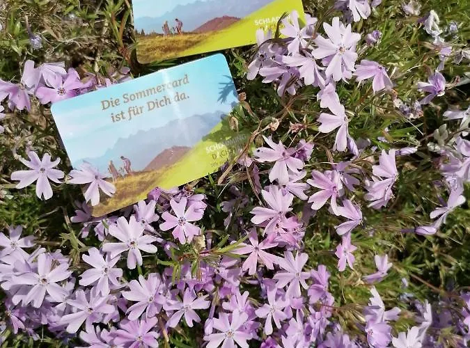 Alpenglueck Appartement Aich (Styria)