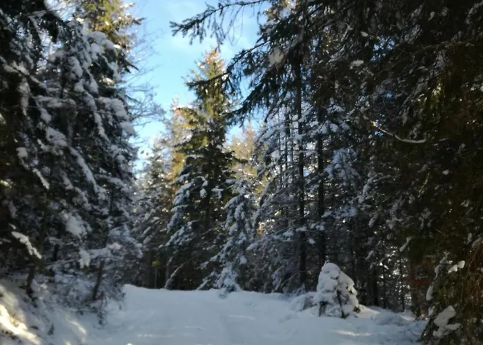 Appartamento Alpenglueck *